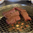 보궁식당 이미지