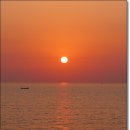 충남칼국수 이미지