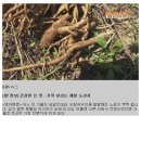 김상운농장 이미지