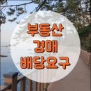 경매에서 배당요구의 중요성 이미지