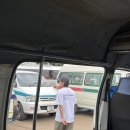 모시올농장 | 탄자니아 여행 10일차 / 킬리만자로 데이투어, 모시에서 다르에스살람(킬리만자로 VVIP 럭셔리 버스)