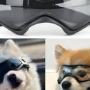 좋은강아지 이미지