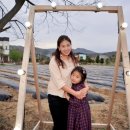 린네약국 이미지