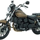 데이스타 이미지