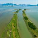 낙동강관리본부 대저생태공원 5 이미지