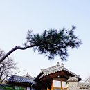 한옥마을 이미지