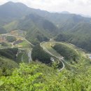 덕우민박 이미지