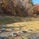 하얀이언니네 | 청주 감성카페 뵈르뵈르하우스 방문기｜반려견 동반 브런치 맛집 후기