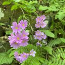 미래농장 이미지