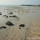 황금노을 이미지