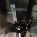 금성사우나 이미지