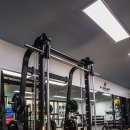 올뉴바디 이미지