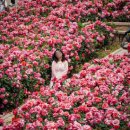 장일셀프타운 이미지