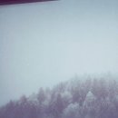 린뷰티크호텔 이미지