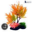 아쿠아테라 수족관 이미지