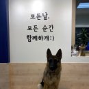 옥희시스템 이미지