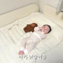 샬롬어린이집 | 아기 사계절 일체형 어린이집 낮잠이불세트 유트러스 순면