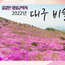 ﻿[대구 달성]2024비슬산 참꽃문화제[2024.04.13 ~ 2024.04.14] 이미지