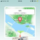 베이징코야주 이미지