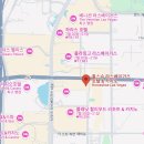 라스베가스 숙소 추천 홀스슈호텔 스피어뷰 주차장
