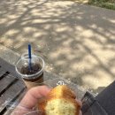 므와오씨 이미지