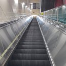 사직도서관 | 부산연제구 만화도서관 방문 후기 1