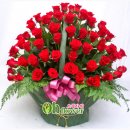 [나림 무안지구 소식] 임춘환(섭) 종친 함평 국립농산물 품질관리원 소장 발령!! 이미지