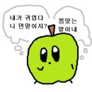 눈치 없고 무심해서 곰같단 소리 듣는 infp-a 궁물받습니다 이미지