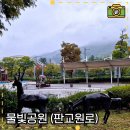 판교원로 이미지