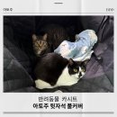 반려동물 카시트 아토주 자동차 뒷좌석 풀커버 사용 후기