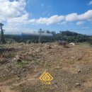 토우공인중개사사무소 이미지