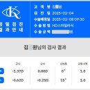 카이안과