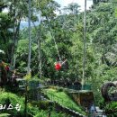 새벽숲농장 이미지