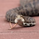 중문올레 이미지