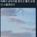 상어피시방 이미지