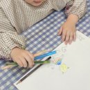 풀꽃유치원 이미지