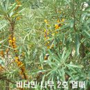 신성2호 이미지