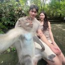 포레스트813 | 발리 우붓 몽키 포레스트, 스타벅스, 시너지마사지(Synergy Massage)