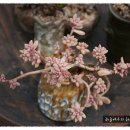 나들이농장 이미지