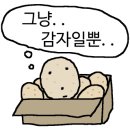 이모네세탁소 이미지