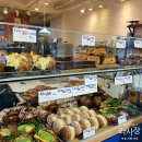 곰이네 - 천안시 동남구 | [동편마을]새벽6시부터 줄서는 곰이네 고래빵 평일웨이팅 내돈내산후기