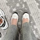 까멜리아 이미지