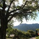 서계마을 이미지