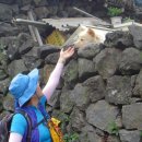 제주 올레길 5코스 이미지