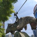 돈키호테-무식한 소 이미지