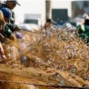 88완당집 이미지