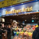 블레스드플라워마켓 이미지