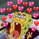 데이리에 이미지