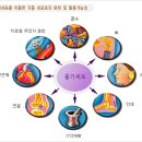 정진바이오 이미지