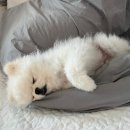 칠곡사랑약국 | 다시 돌아온 블챌 + 반가운 일상 이야기